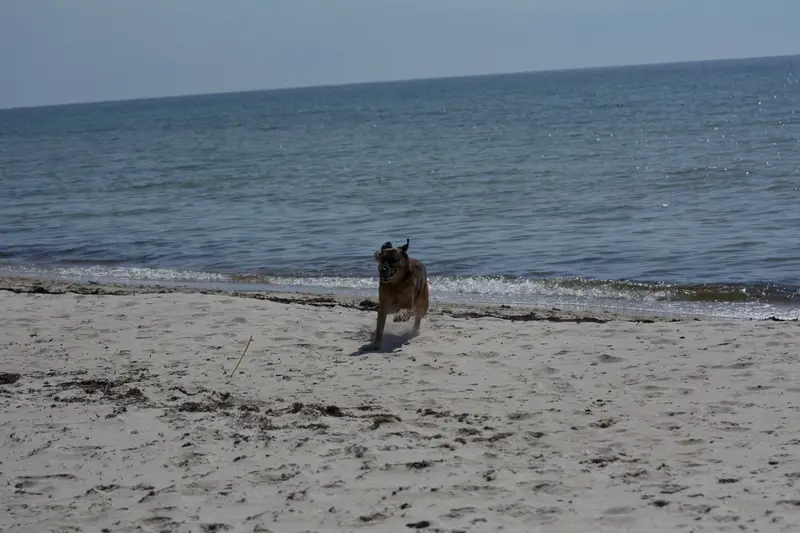 Strand, Bornholm – Bild 1